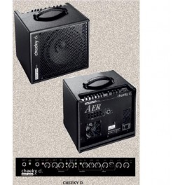 Amplif.AER CHEEKY-D 200W guit.