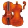 Violin HÁ¶fner H66HVV      4/4