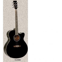 Guit.Ac.TANGLEWOOD TSJCEBK neg