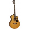 Gui.TANGLEWOOD TW145ASC-TW45NS