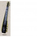 DUESENBERG Pomona 6 Lap Steel