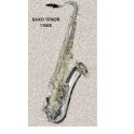 Saxo tenor J.MICHAEL plateado