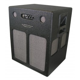 BAFLE GUIT MOTION SOUND ROTATORY GUIT.100W SRV212