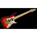 GUIT VIGIER EXC.SPECIAL MN FIRE BURST VE6CVSP1 FB