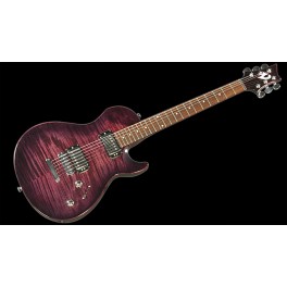 GUIT VIGIER GV WOOD 2H PURPLE FADE VGV-CW PUF