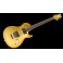 GUIT VIGIER GV ROCK 2H GOLD VGV-CR GR