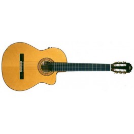 Modelo B Cutaway Electric Neck
