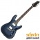 GUI.SCHECTER STANDARD C-1 DMB
