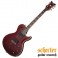 GUI.SCHECTER HELLRAISER SPECIAL SOLO-6 BCH