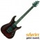 GUI.SCHECTER DAMIEN ELITE-6-FR CRED