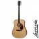 GUI.LARRIVEE D-10 DREADNOUGHT DLUXE PALOSANTO GLOS