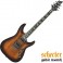 GUI.SCHECTER C-1 PLUS DARKBROWN SUNBURST(DBSB)*