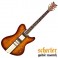 GUI.SCHECTER ULTRA CLASSIC DBSB