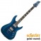 GUI.SCHECTER CUSTOM C-1 STB