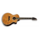 BREEDLOVE PERFORMANCE FOCUS SPECIAL EDITION