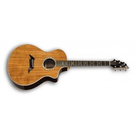 BREEDLOVE PERFORMANCE FOCUS SPECIAL EDITION