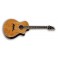 BREEDLOVE PERFORMANCE FOCUS SPECIAL EDITION