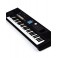 Teclado Oriental Roland BK-5 OR