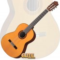 Guitarra Yamaha CG162C/S
