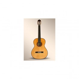 Luthier Flamenca
