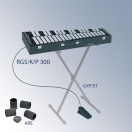 RGS/K/P-300