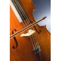 VIOLONCELLO HANS JOSEPH 4/4. SCES-2044