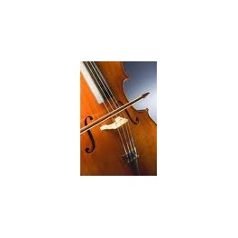 VIOLONCELLO HANS JOSEPH 4/4. SCES-2044