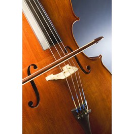 VIOLONCELLO HANS JOSEPH 1/8 SCES-2018